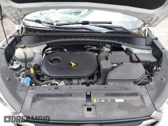 2018 Hyundai Tucson SE с VIN KM8J23A40JU821462, выставлен на аукционе IAAI как лот 43125522 с пробегом 106 976 миль миль и . История ставок и продаж доступна на DreamBid. Изображение 10.