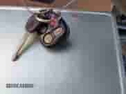 2004 Chevrolet Malibu Classic z VIN 1G1ND52F04M637230, wystawiony jako IAAI lot #40837935 z przebiegiem 56 072 mil mil oraz . Historia ofert i sprzedaży dostępna na DreamBid. Obrazek 11.