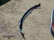 2022 Hyundai Tucson Limited с VIN KM8JECA16NU012874, выставлен на аукционе Copart как лот 68545545 с пробегом 32 929 миль миль и Списание • Salvage title. История ставок и продаж доступна на DreamBid. Изображение 13.