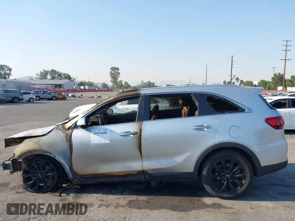 2020 Kia Sorento EX with VIN 5XYPH4A53LG703244, listed as a IAAI auction lot 42934089 with Not provided miles and . Bid and sale history available at DreamBid. Image 13.