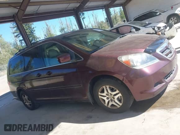 2007 Honda Odyssey EX-L с VIN 5FNRL38677B419709, выставлен на аукционе IAAI как лот 42831855 с пробегом 221 620 миль миль и . История ставок и продаж доступна на DreamBid. Изображение 13.