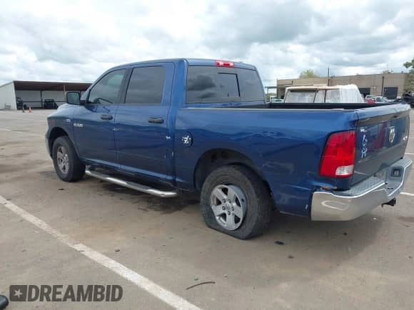 2009 Dodge 1500 SLT with VIN 1D3HV13T99S704450, listed as a IAAI auction lot 41976123 with Not provided miles and . Bid and sale history available at DreamBid. Image 3.