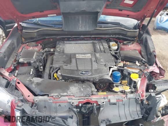 2015 Subaru Forester XT Premium with VIN JF2SJGDC6FH560202, listed as a IAAI auction lot 43111303 with Not provided miles and . Bid and sale history available at DreamBid. Image 10.