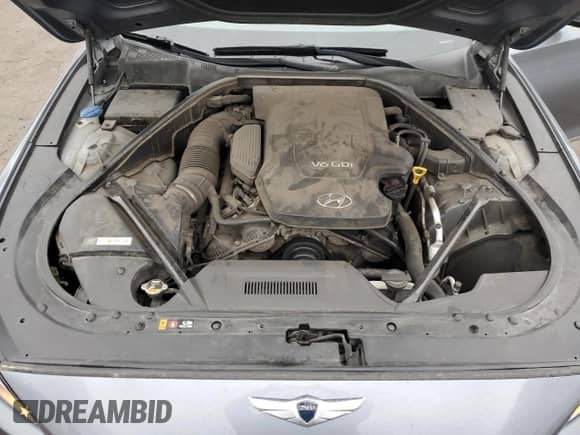 2015 Hyundai Genesis 3.8L с VIN KMHGN4JE9FU057392, выставлен на аукционе Copart как лот 77071393 с пробегом 222 111 миль миль и . История ставок и продаж доступна на DreamBid. Изображение 11.