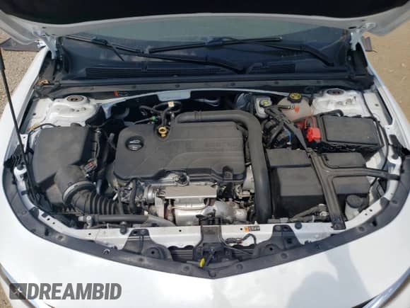 2019 Chevrolet Malibu LT with VIN 1G1ZD5ST1KF127171, listed as a Copart auction lot 68883725 with 22,793 mi miles and Salvage title. Bid and sale history available at DreamBid. Image 11.