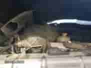 2013 Ram 1500 Tradesman with VIN 1C6RR6KGXDS540726, listed as a Copart auction lot 87754685 with Not provided miles and Salvage title. Bid and sale history available at DreamBid. Image 12.