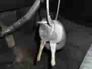 2011 Chevrolet Silverado 1500 LT с VIN 3GCPKSE34BG265039, выставлен на аукционе IAAI как лот 43519804 с пробегом 222 885 миль миль и . История ставок и продаж доступна на DreamBid. Изображение 11.