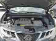 2014 Nissan Murano with VIN JN8AZ1FY5EW301997, listed as a Copart auction lot 53391215 with 43,452 mi miles and Salvage title. Bid and sale history available at DreamBid. Image 11.