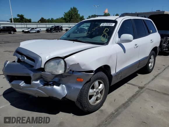 2006 Hyundai Santa Fe GLS with VIN KM8SC73E16U109810, listed as a Copart auction lot 58109304 with 262,562 mi miles and Salvage title. Bid and sale history available at DreamBid. Image 1.