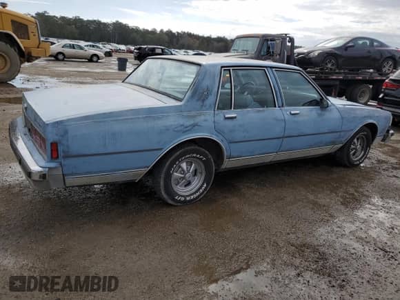 1989 Chevrolet Caprice с VIN 1G1BN51E8KR219541, выставлен на аукционе Copart как лот 78588294 с пробегом 54 750 миль миль и Чистый • Clean title. История ставок и продаж доступна на DreamBid. Изображение 3.