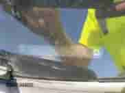 2012 Honda Accord LX-S with VIN 1HGCS1B32CA012977, listed as a IAAI auction lot 42952252 with 94,964 mi miles and . Bid and sale history available at DreamBid. Image 9.