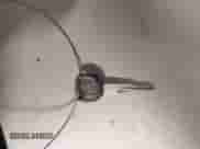 1993 Honda Accord с VIN 1HGCB7648PA190291, выставлен на аукционе IAAI как лот 42425108 с пробегом 157 451 миль миль и . История ставок и продаж доступна на DreamBid. Изображение 11.