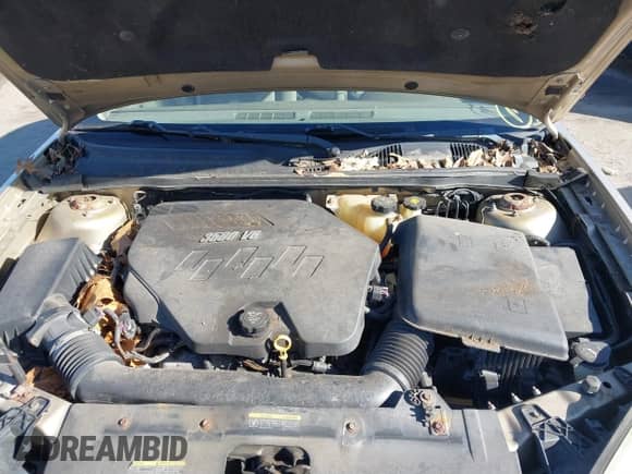 2008 Chevrolet Malibu Classic LT с VIN 1G1ZT58N48F132773, выставлен на аукционе IAAI как лот 41773488 с пробегом Не указан миль и . История ставок и продаж доступна на DreamBid. Изображение 10.