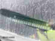 2008 Chevrolet Impala LS с VIN 2G1WB58K489288283, выставлен на аукционе IAAI как лот 41832463 с пробегом 164 432 миль миль и . История ставок и продаж доступна на DreamBid. Изображение 9.