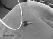 2007 Hyundai Tucson SE with VIN KM8JN12D37U666151, listed as a IAAI auction lot 43349229 with 185,269 mi miles and . Bid and sale history available at DreamBid. Image 11.