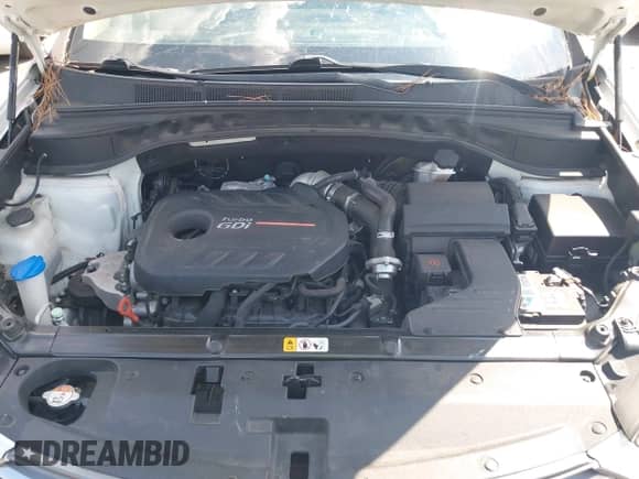 2018 Hyundai Santa Fe Ultimate с VIN 5NMZW4LA5JH064652, выставлен на аукционе IAAI как лот 43009432 с пробегом 84 512 миль миль и . История ставок и продаж доступна на DreamBid. Изображение 10.