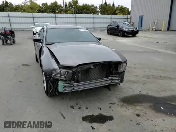 2014 Ford Mustang V6 with VIN 1ZVBP8AM1E5224499, listed as a Copart auction lot 81845745 with 169,504 mi miles and Salvage title. Bid and sale history available at DreamBid. Image 13.