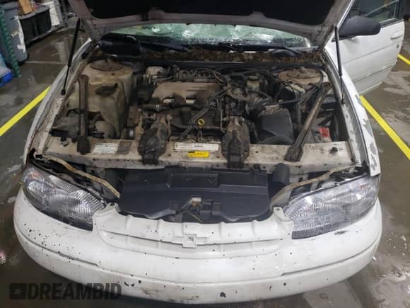 1999 Chevrolet Lumina с VIN 2G1WL52M5X9132677, выставлен на аукционе Copart как лот 82058125 с пробегом 154 723 миль миль и Списание • Salvage title. История ставок и продаж доступна на DreamBid. Изображение 11.