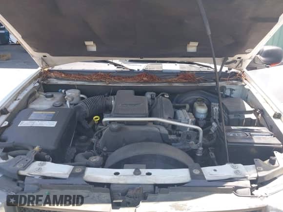 2005 Chevrolet TrailBlazer LS с VIN 1GNDT13S552243415, выставлен на аукционе IAAI как лот 42739508 с пробегом 122 128 миль миль и . История ставок и продаж доступна на DreamBid. Изображение 10.