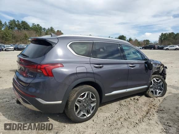 2022 Hyundai Santa Fe Limited with VIN KM8S7DA20NU050744, listed as a Copart auction lot 52359535 with 47,565 mi miles and Salvage title. Bid and sale history available at DreamBid. Image 3.