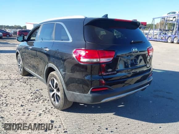 2017 Kia Sorento EX with VIN 5XYPH4A11HG246342, listed as a IAAI auction lot 43527979 with 134,373 mi miles and . Bid and sale history available at DreamBid. Image 3.