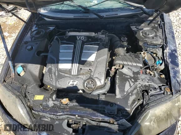 2006 Hyundai Tiburon GT с VIN KMHHN65FX6U191069, выставлен на аукционе Copart как лот 68652734 с пробегом Не указан миль и Чистый • Clean title. История ставок и продаж доступна на DreamBid. Изображение 11.