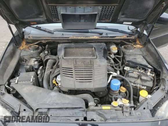 2017 Subaru WRX with VIN JF1VA1B68H9824819, listed as a Copart auction lot 80491755 with 100,494 mi miles and Salvage title. Bid and sale history available at DreamBid. Image 11.