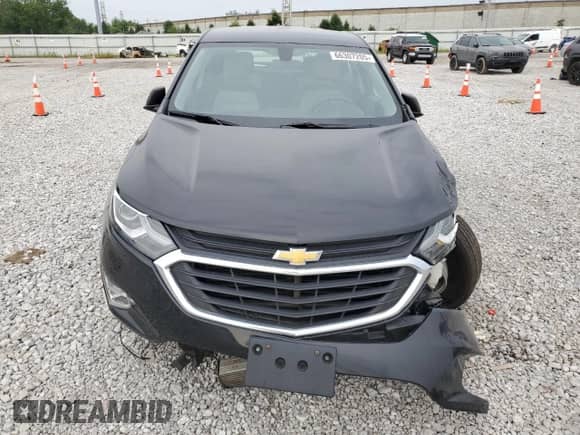 2018 Chevrolet Equinox LS with VIN 3GNAXHEV3JL410144, listed as a Copart auction lot 66307205 with 125,421 mi miles and Salvage title. Bid and sale history available at DreamBid. Image 5.