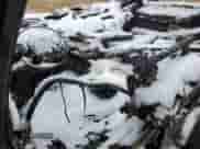 2011 BMW 7 Series 740i z VIN WBAKA4C52BC612509, wystawiony jako Copart lot #45868175 z przebiegiem Nie podano mil oraz Szkoda całkowita • Salvage title. Historia ofert i sprzedaży dostępna na DreamBid. Obrazek 8.