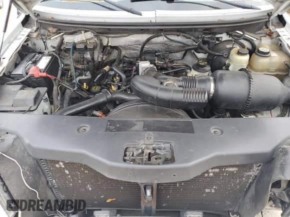 2007 Ford F-150 XLT с VIN 1FTRW02W17KB21352, выставлен на аукционе Copart как лот 83563024 с пробегом 234 173 миль миль и Списание • Salvage title. История ставок и продаж доступна на DreamBid. Изображение 11.