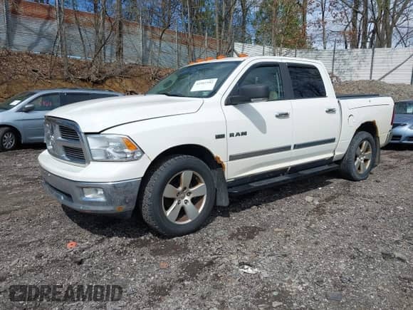 2009 Dodge 1500 SLT z VIN 1D3HV13T19J517175, wystawiony jako IAAI lot #41967182 z przebiegiem 177 668 mil mil oraz . Historia ofert i sprzedaży dostępna na DreamBid. Obrazek 2.