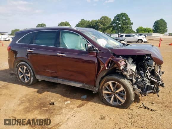 2019 Kia Sorento EX with VIN 5XYPH4A53KG457813, listed as a Copart auction lot 60156695 with 109,451 mi miles and Salvage title. Bid and sale history available at DreamBid. Image 4.