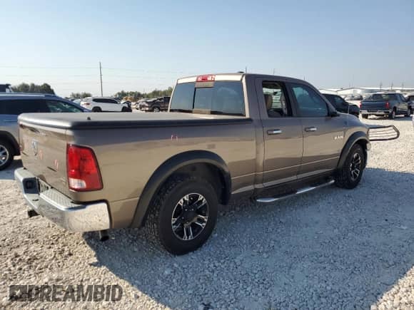 2009 Dodge 1500 SLT with VIN 1D3HB18P89S780875, listed as a Copart auction lot 75644624 with 99,614 mi miles and Salvage title. Bid and sale history available at DreamBid. Image 3.