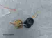 2012 Ford F-150 XL with VIN 1FTMF1CM0CKD59099, listed as a IAAI auction lot 43529283 with 216,619 mi miles and . Bid and sale history available at DreamBid. Image 11.