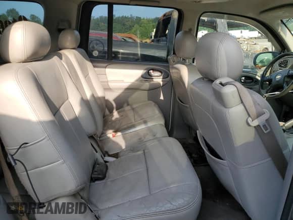 2005 Chevrolet TrailBlazer LT z VIN 1GNET16S356116493, wystawiony jako Copart lot #67930275 z przebiegiem 166 132 mil mil oraz Szkoda całkowita • Salvage title. Historia ofert i sprzedaży dostępna na DreamBid. Obrazek 11.