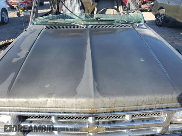 1994 Chevrolet Blazer with VIN 1GNDT13W1R0174498, listed as a Copart auction lot 88450855 with 199,905 mi miles and Salvage title. Bid and sale history available at DreamBid. Image 11.