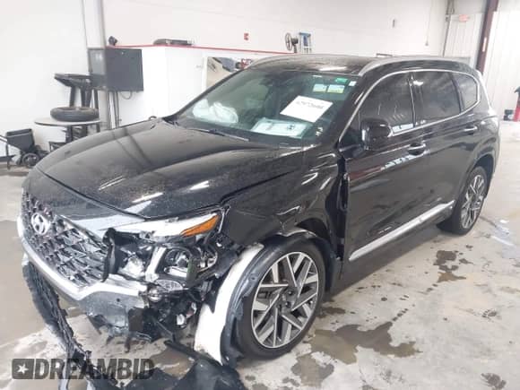 2023 Hyundai Santa Fe Calligraphy с VIN 5NMS54AL0PH578541, выставлен на аукционе IAAI как лот 42972600 с пробегом 24 167 миль миль и . История ставок и продаж доступна на DreamBid. Изображение 2.