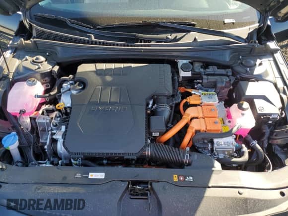 2025 Hyundai Elantra Limited with VIN KMHLN4DJ2SU139322, listed as a Copart auction lot 84604845 with 922 mi miles and Salvage title. Bid and sale history available at DreamBid. Image 11.