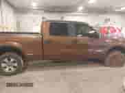 2012 Ford F-150 XL with VIN 1FTFW1ET7CFC13126, listed as a IAAI auction lot 43416766 with Not provided miles and . Bid and sale history available at DreamBid. Image 13.