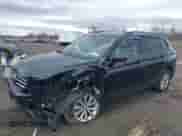 2019 Volkswagen Tiguan S с VIN 3VV0B7AX0KM046024, выставлен на аукционе IAAI как лот 41924867 с пробегом 126 729 миль миль и . История ставок и продаж доступна на DreamBid. Изображение 2.