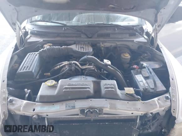 2000 Dodge Dakota with VIN 1B7GL22X6YS526029, listed as a IAAI auction lot 43597002 with 208,306 mi miles and . Bid and sale history available at DreamBid. Image 10.