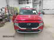 2023 Hyundai Santa Fe SE с VIN 5NMS1DAJ9PH597423, выставлен на аукционе IAAI как лот 43142044 с пробегом 31 166 миль миль и . История ставок и продаж доступна на DreamBid. Изображение 13.