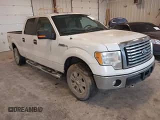 2010 Ford F-150 XL with VIN 1FTFW1E85AFD13038, listed as a IAAI auction lot 43289780 with 164,615 mi miles and . Bid and sale history available at DreamBid. Image 1.