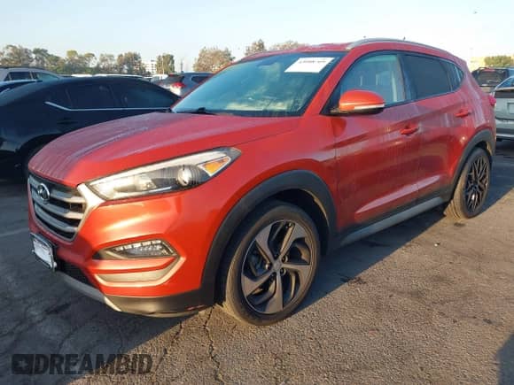 2017 Hyundai Tucson Eco с VIN KM8J33A21HU462158, выставлен на аукционе IAAI как лот 43088769 с пробегом 105 735 миль миль и . История ставок и продаж доступна на DreamBid. Изображение 17.