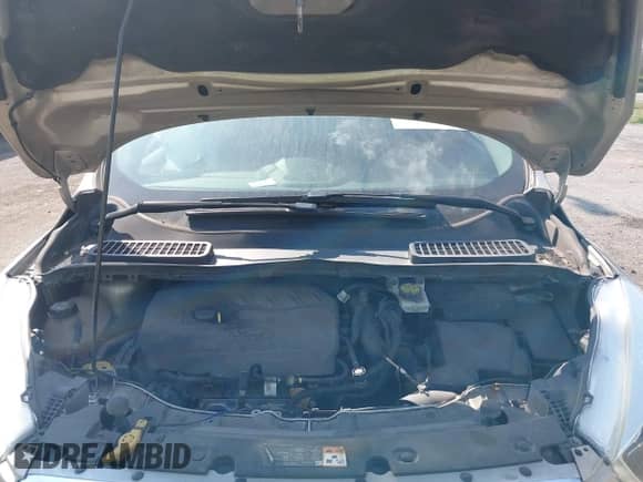 2017 Ford Escape Titanium with VIN 1FMCU0JD7HUE92688, listed as a IAAI auction lot 43171142 with 156,576 mi miles and . Bid and sale history available at DreamBid. Image 10.