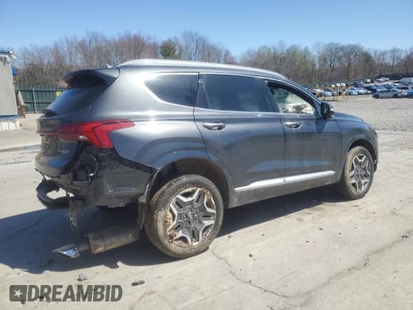 2021 Hyundai Santa Fe Calligraphy with VIN 5NMS5DALXMH332138, listed as a Copart auction lot 53534895 with 33,759 mi miles and Salvage title. Bid and sale history available at DreamBid. Image 3.