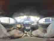 1996 Ford Mustang z VIN 1FALP4047TF185562, wystawiony jako Copart lot #55995745 z przebiegiem 154 906 mil mil oraz Szkoda całkowita • Salvage title. Historia ofert i sprzedaży dostępna na DreamBid. Obrazek 14.