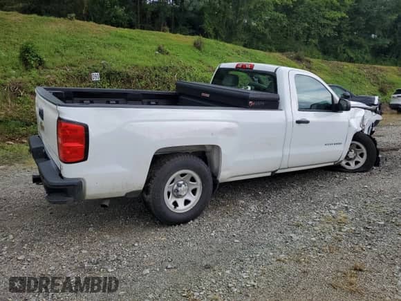 2018 Chevrolet Silverado 1500 Work Truck with VIN 1GCNCNEH0JZ180828, listed as a Copart auction lot 66720435 with 170,681 mi miles and Salvage title. Bid and sale history available at DreamBid. Image 3.