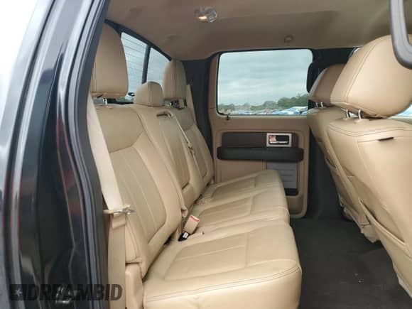 2013 Ford F-150 Lariat with VIN 1FTFW1CT2DKD02467, listed as a Copart auction lot 85291625 with 171,009 mi miles and Salvage title. Bid and sale history available at DreamBid. Image 10.