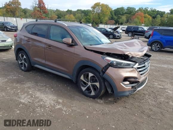 2017 Hyundai Tucson Eco с VIN KM8J33A28HU373185, выставлен на аукционе IAAI как лот 43462932 с пробегом 142 916 миль миль и . История ставок и продаж доступна на DreamBid. Изображение 1.